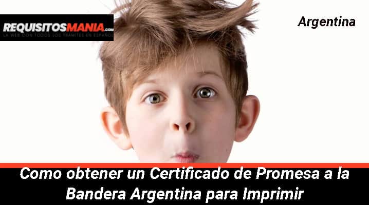 Certificado de promesa a la bandera argentina para imprimir			 			