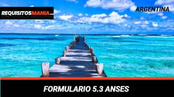 Formulario 5.3 ANSES 