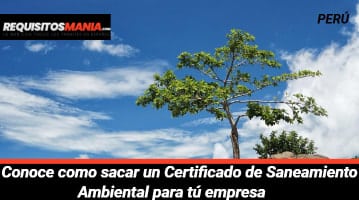 Certificado de Saneamiento Ambiental 			 			