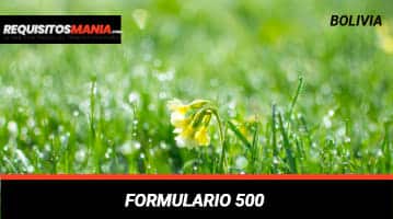 Formulario 500