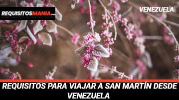Requisitos para viajar a San Martín desde Venezuela 