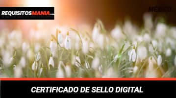 Certificado de Sello Digital 