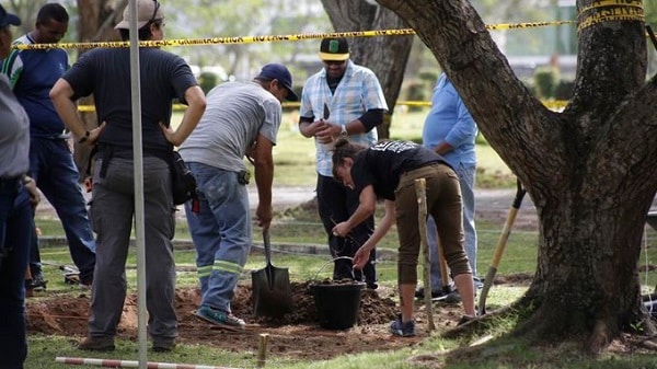 Requisitos para Exhumar un Cadáver en Venezuela