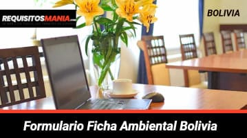 Formulario Ficha Ambiental Bolivia 