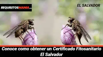 Certificado fitosanitario El Salvador 