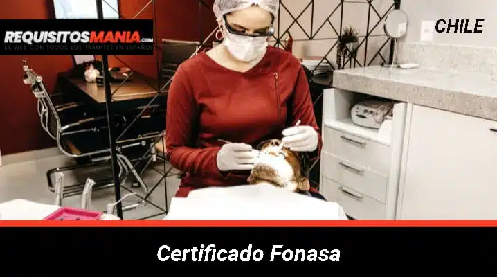 Certificado Fonasa: Para qué sirve el Certificado Fonasa, cómo obtenerlo, requisitos, procedimiento y quiénes pueden tramitarlo